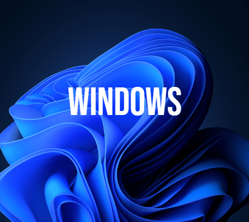 Microsoft Windows banner