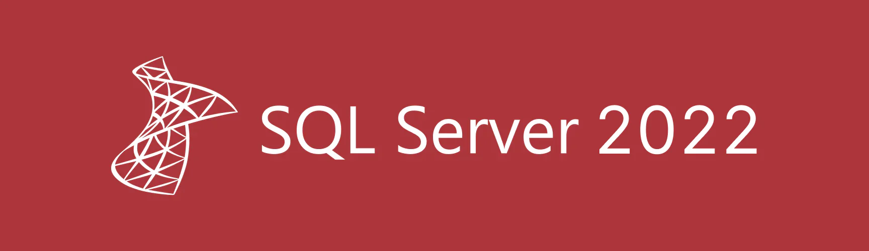 Microsoft SQL Server 2022 Standard obrázek v popisu produktu.