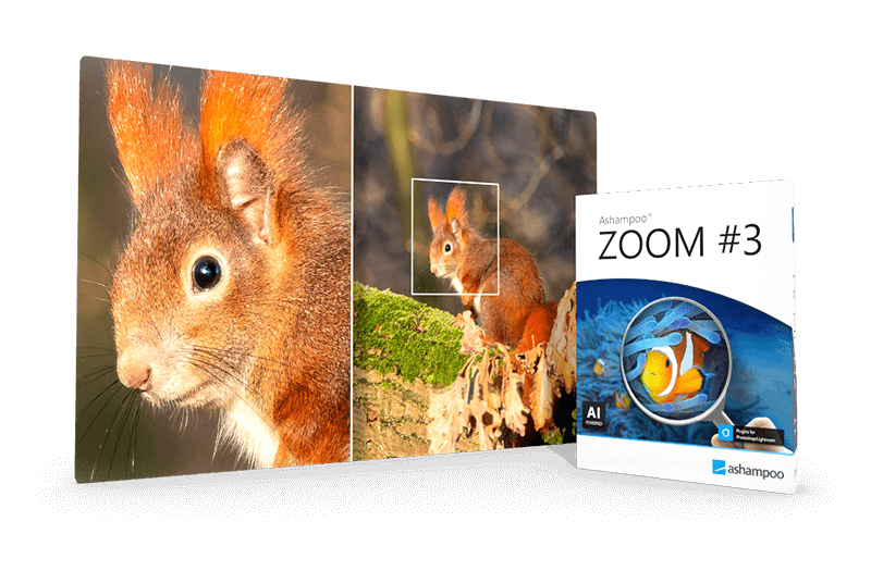 Ashampoo-ZOOM-3-obrazek Ashampoo ZOOM #3 obrázek v popisu produktu.