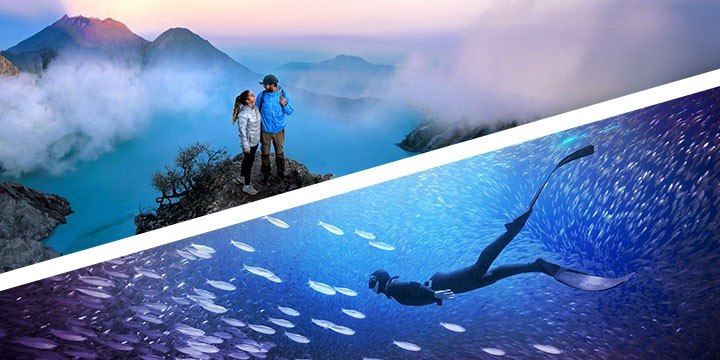 Adobe Photoshop & Premiere Elements 2026 obrázek v popisu produktu.